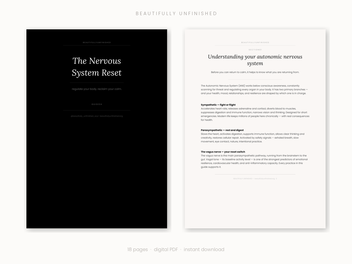 The Nervous System Reset — Regulate Your Body, Reclaim Your Calm, Return to Yourself