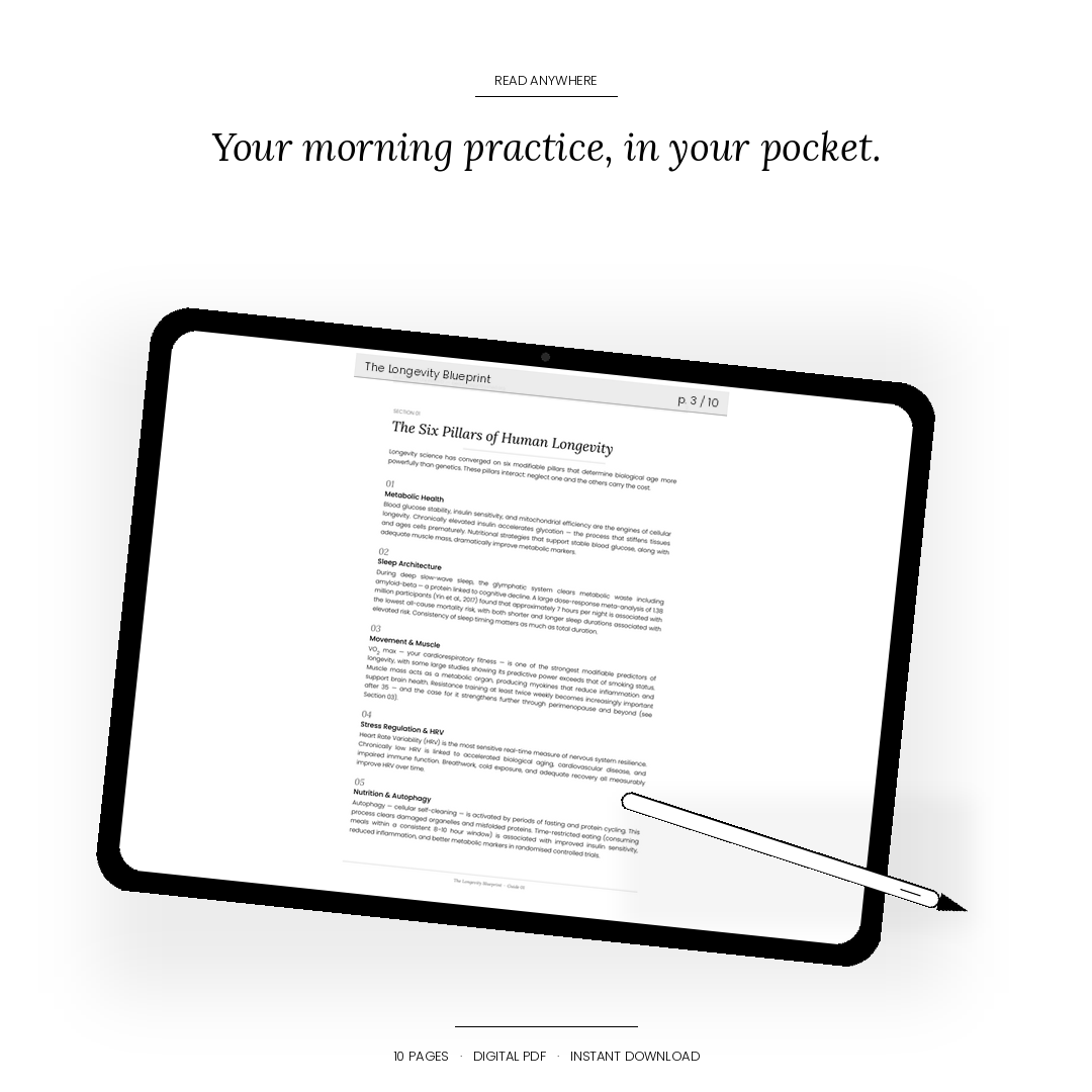 The Longevity Bundle — Body, Brain, and Biology