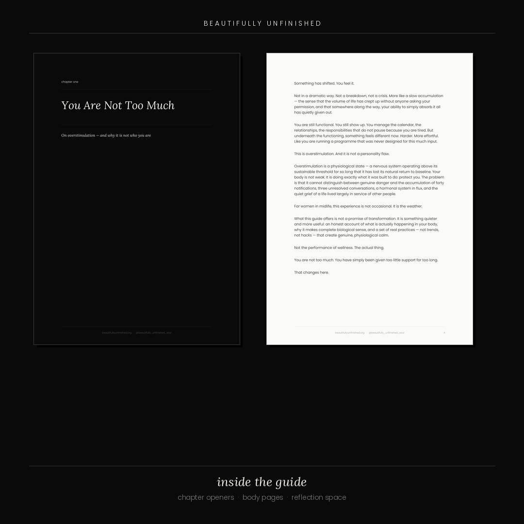 The Overstimulated Woman — A Complete Nervous System Guide