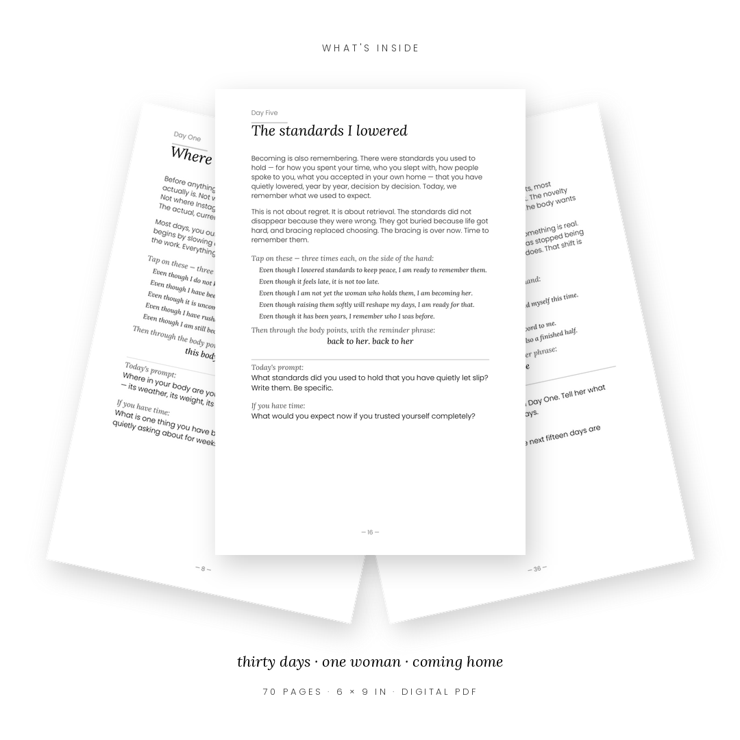 The Tapped In Bundle — The Guide + The Practice Pages